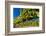 Washington State, Royal City. Riesling Grapes on the Royal Slope in the Columbia River Valley-Richard Duval-Framed Photographic Print