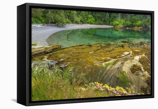 Washington State, San Juan Islands. Secluded Bay on Sucia Island-Don Paulson-Framed Premier Image Canvas