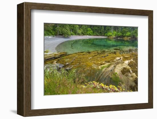 Washington State, San Juan Islands. Secluded Bay on Sucia Island-Don Paulson-Framed Photographic Print