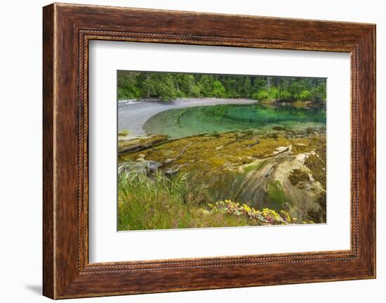 Washington State, San Juan Islands. Secluded Bay on Sucia Island-Don Paulson-Framed Photographic Print