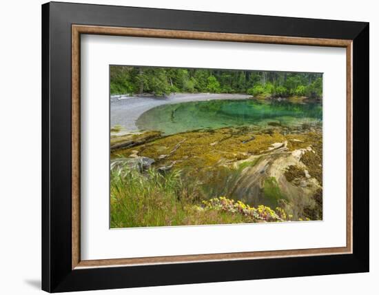 Washington State, San Juan Islands. Secluded Bay on Sucia Island-Don Paulson-Framed Photographic Print