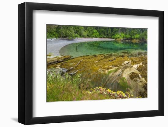 Washington State, San Juan Islands. Secluded Bay on Sucia Island-Don Paulson-Framed Photographic Print