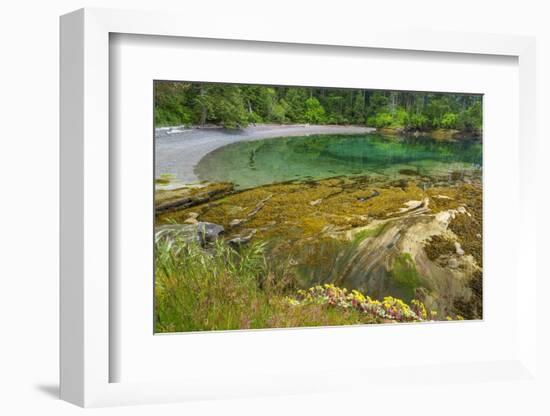 Washington State, San Juan Islands. Secluded Bay on Sucia Island-Don Paulson-Framed Photographic Print