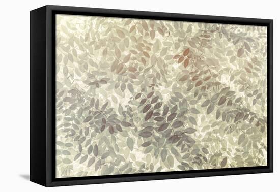 Washington State, San Juan Islands. Stylized Pattern of Vetch Leaves-Jaynes Gallery-Framed Premier Image Canvas