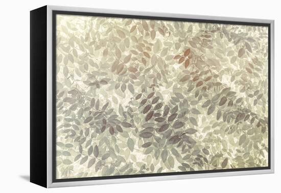 Washington State, San Juan Islands. Stylized Pattern of Vetch Leaves-Jaynes Gallery-Framed Premier Image Canvas