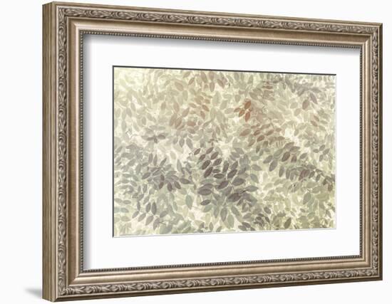 Washington State, San Juan Islands. Stylized Pattern of Vetch Leaves-Jaynes Gallery-Framed Photographic Print