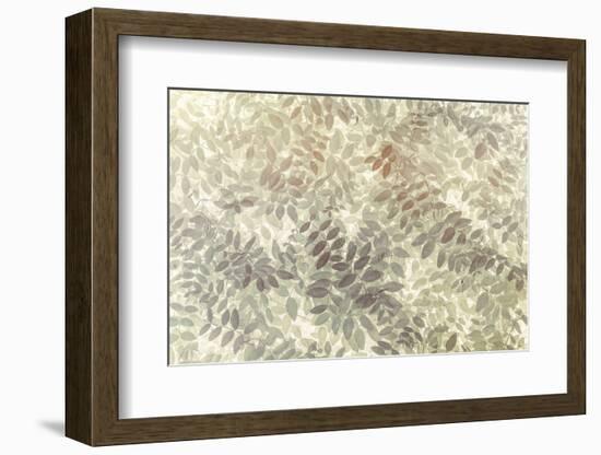 Washington State, San Juan Islands. Stylized Pattern of Vetch Leaves-Jaynes Gallery-Framed Photographic Print