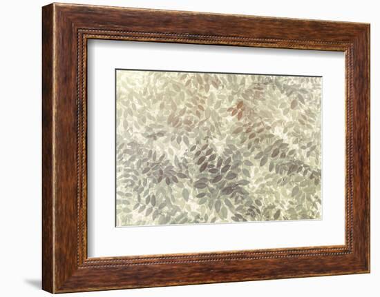 Washington State, San Juan Islands. Stylized Pattern of Vetch Leaves-Jaynes Gallery-Framed Photographic Print