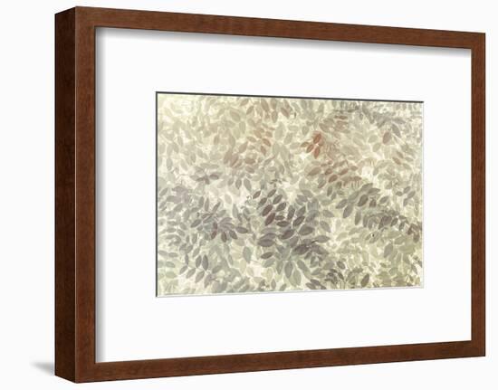 Washington State, San Juan Islands. Stylized Pattern of Vetch Leaves-Jaynes Gallery-Framed Photographic Print