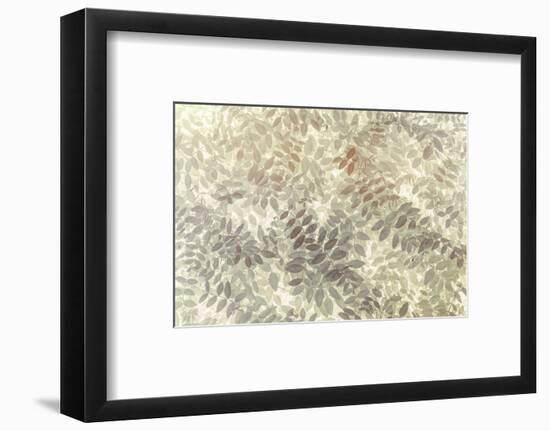 Washington State, San Juan Islands. Stylized Pattern of Vetch Leaves-Jaynes Gallery-Framed Photographic Print