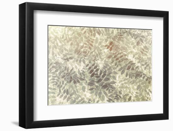 Washington State, San Juan Islands. Stylized Pattern of Vetch Leaves-Jaynes Gallery-Framed Photographic Print