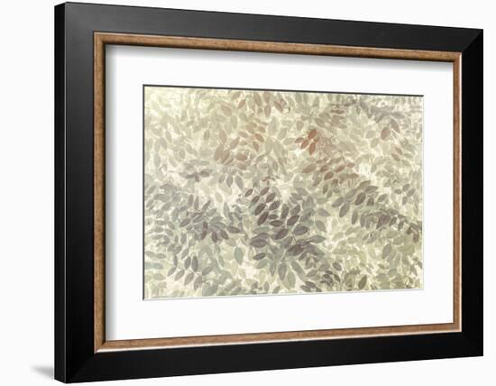 Washington State, San Juan Islands. Stylized Pattern of Vetch Leaves-Jaynes Gallery-Framed Photographic Print