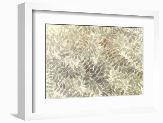 Washington State, San Juan Islands. Stylized Pattern of Vetch Leaves-Jaynes Gallery-Framed Photographic Print