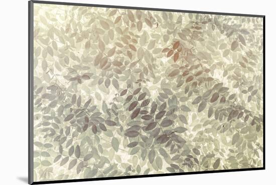 Washington State, San Juan Islands. Stylized Pattern of Vetch Leaves-Jaynes Gallery-Mounted Photographic Print