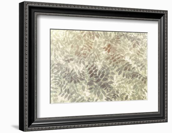 Washington State, San Juan Islands. Stylized Pattern of Vetch Leaves-Jaynes Gallery-Framed Photographic Print