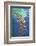 Washington State, San Juan Islands. Water Reflection of Boat Sail-Don Paulson-Framed Photographic Print