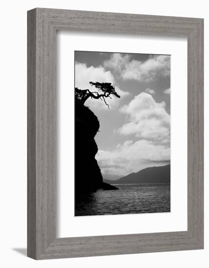 Washington State, San Juan Islands. Weathered Fir Tree Silhouette on Matia Island-Jaynes Gallery-Framed Photographic Print