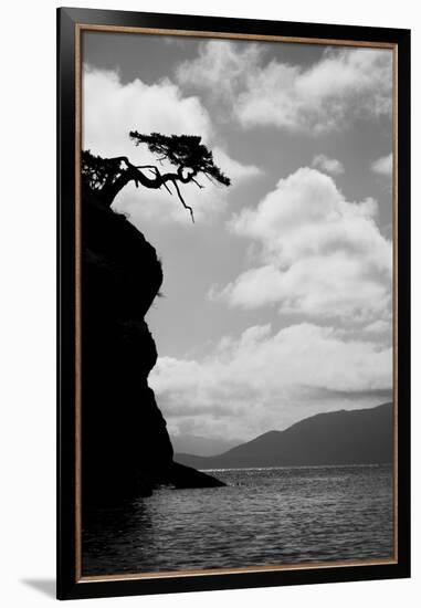 Washington State, San Juan Islands. Weathered Fir Tree Silhouette on Matia Island-Jaynes Gallery-Framed Photographic Print