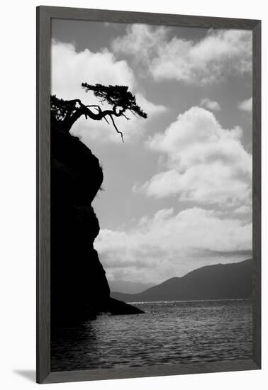 Washington State, San Juan Islands. Weathered Fir Tree Silhouette on Matia Island-Jaynes Gallery-Framed Photographic Print