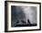 Washington State, Seabeck. Crows Backlit with Steam Coming from Sun on Roof Top-Jaynes Gallery-Framed Photographic Print