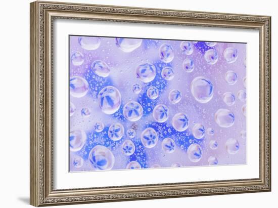 Washington State, Seabeck. Field of Flowers Reflected in Water Drops-Jaynes Gallery-Framed Photographic Print