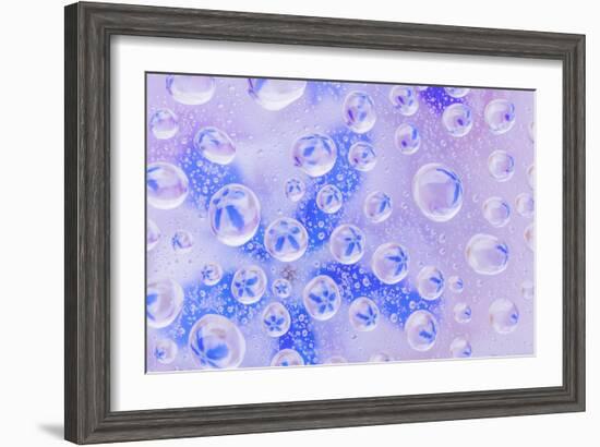 Washington State, Seabeck. Field of Flowers Reflected in Water Drops-Jaynes Gallery-Framed Photographic Print