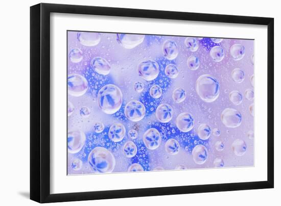 Washington State, Seabeck. Field of Flowers Reflected in Water Drops-Jaynes Gallery-Framed Photographic Print