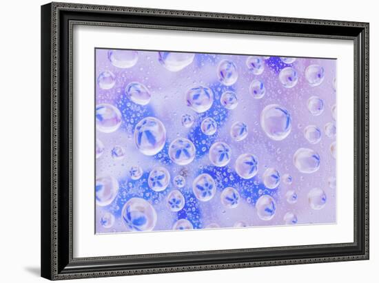 Washington State, Seabeck. Field of Flowers Reflected in Water Drops-Jaynes Gallery-Framed Photographic Print