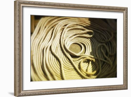 Washington State, Seattle, Boat Line Coil-Savanah Stewart-Framed Photographic Print