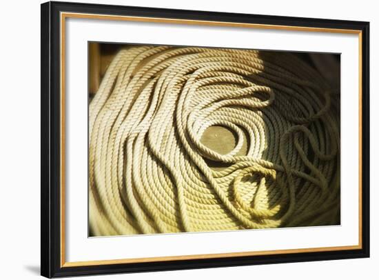 Washington State, Seattle, Boat Line Coil-Savanah Stewart-Framed Photographic Print