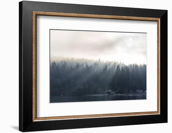 Washington State, Shafts of Morning Light Piercing Fog Make God Rays Through Trees-Trish Drury-Framed Photographic Print