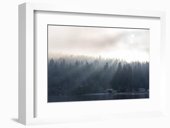 Washington State, Shafts of Morning Light Piercing Fog Make God Rays Through Trees-Trish Drury-Framed Photographic Print