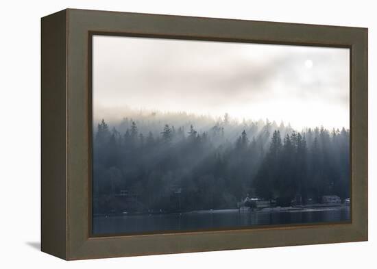 Washington State, Shafts of Morning Light Piercing Fog Make God Rays Through Trees-Trish Drury-Framed Premier Image Canvas