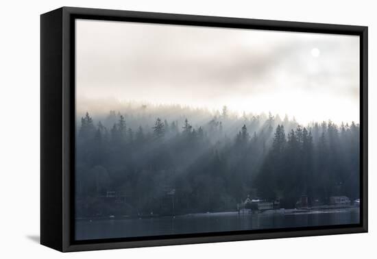 Washington State, Shafts of Morning Light Piercing Fog Make God Rays Through Trees-Trish Drury-Framed Premier Image Canvas