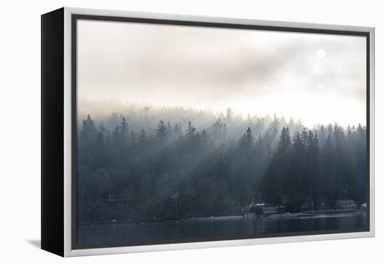 Washington State, Shafts of Morning Light Piercing Fog Make God Rays Through Trees-Trish Drury-Framed Premier Image Canvas