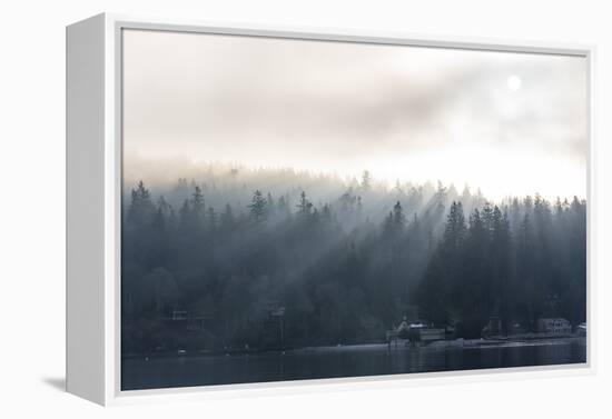 Washington State, Shafts of Morning Light Piercing Fog Make God Rays Through Trees-Trish Drury-Framed Premier Image Canvas