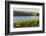 Washington State, Tri-Cities. the Benches Vineyards-Richard Duval-Framed Photographic Print