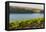 Washington State, Tri-Cities. the Benches Vineyards-Richard Duval-Framed Premier Image Canvas