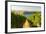 Washington State, Tri-Cities. the Benches Vineyards-Richard Duval-Framed Photographic Print