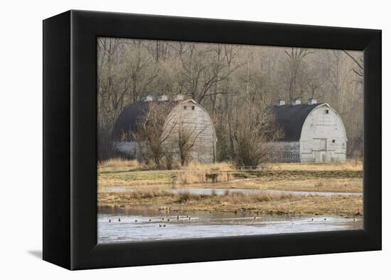 Washington State. Two Barns, at the Nisqually Wildlife Refuge-Matt Freedman-Framed Premier Image Canvas