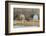 Washington State. Two Barns, at the Nisqually Wildlife Refuge-Matt Freedman-Framed Photographic Print