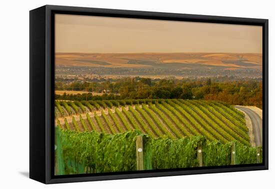 Washington State, Walla Walla. Dusk on a Vineyard-Richard Duval-Framed Premier Image Canvas