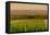 Washington State, Walla Walla. Dusk on a Vineyard-Richard Duval-Framed Premier Image Canvas