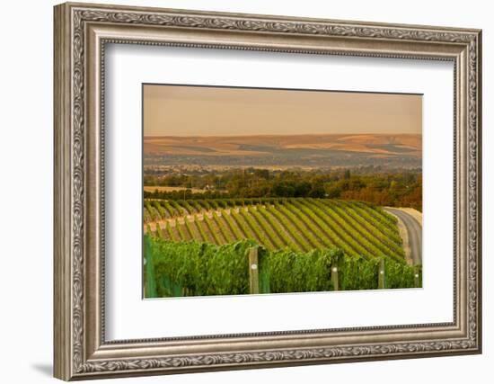 Washington State, Walla Walla. Dusk on a Vineyard-Richard Duval-Framed Photographic Print