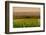 Washington State, Walla Walla. Dusk on a Vineyard-Richard Duval-Framed Photographic Print