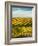 Washington State, Walla Walla. Fall Color in Vineyards-Richard Duval-Framed Photographic Print