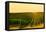 Washington State, Walla Walla. Harvest Season in a Vineyard-Richard Duval-Framed Premier Image Canvas