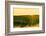 Washington State, Walla Walla. Harvest Season in a Vineyard-Richard Duval-Framed Photographic Print