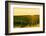 Washington State, Walla Walla. Harvest Season in a Vineyard-Richard Duval-Framed Photographic Print