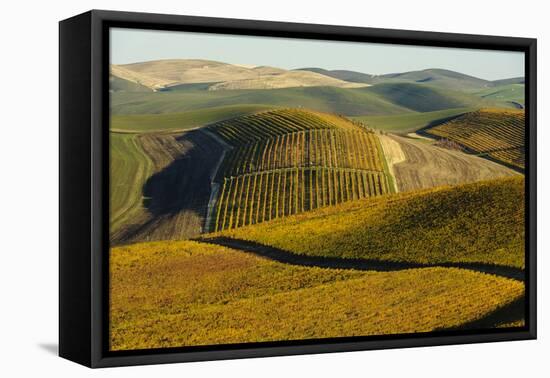 Washington State, Walla Walla. Spring Valley and Vineyards-Richard Duval-Framed Premier Image Canvas